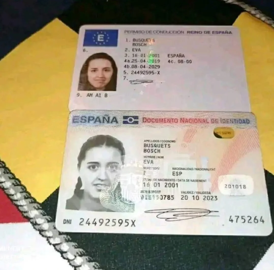 Carnet de conducir espanol