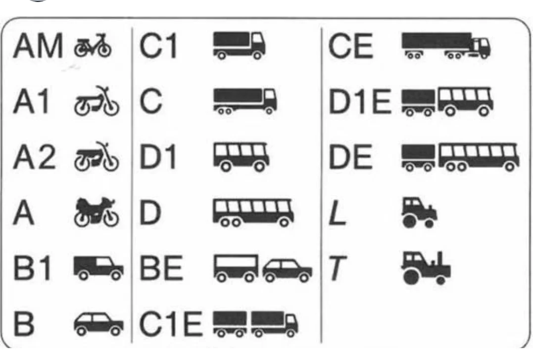 Carnet de conducir license category